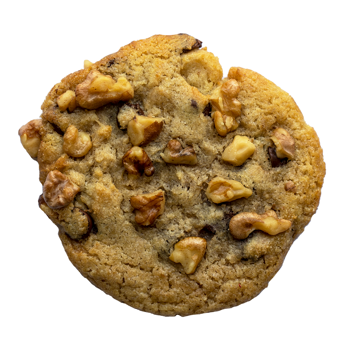 WALNUT CHOCOLATE CHIPPER