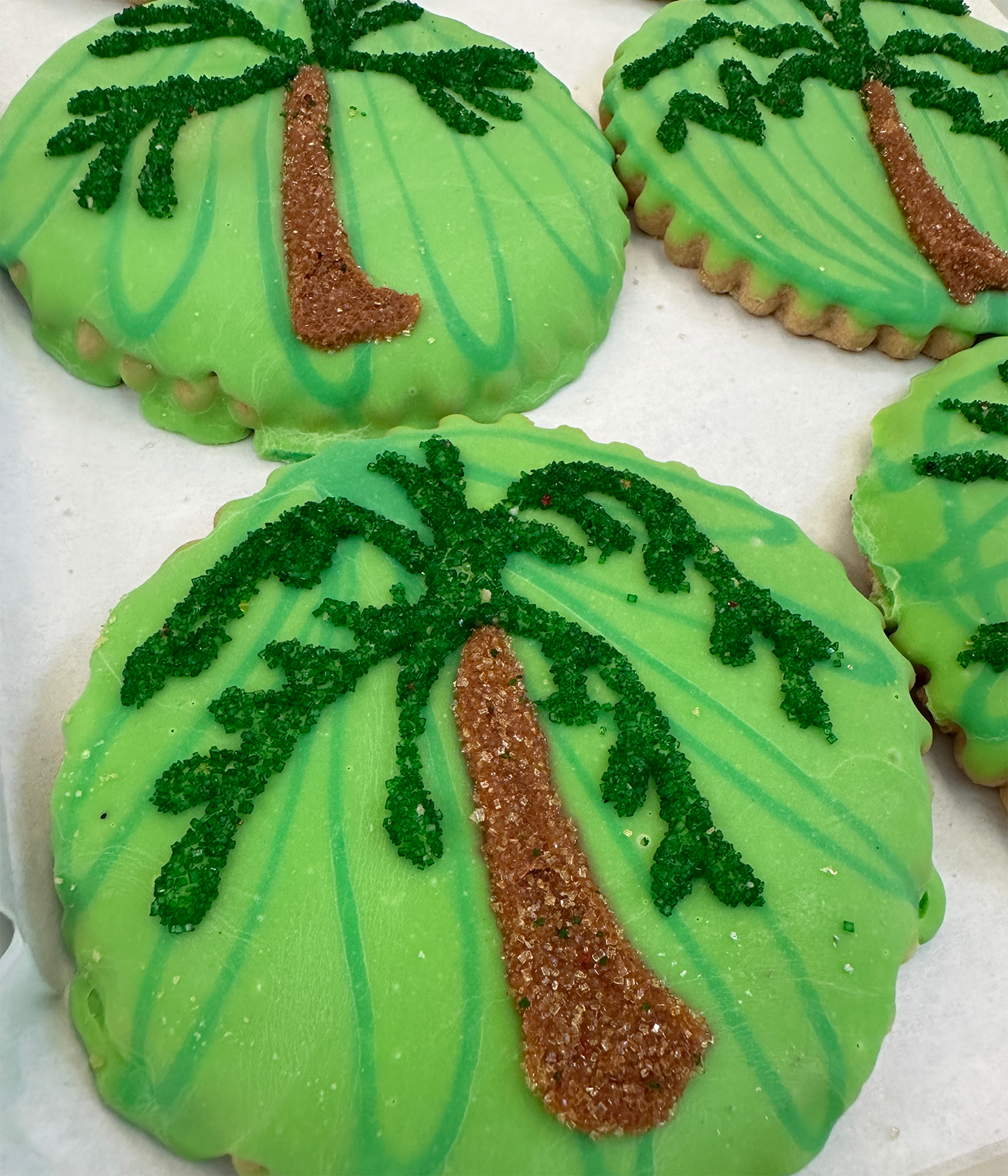 PALM TREES
